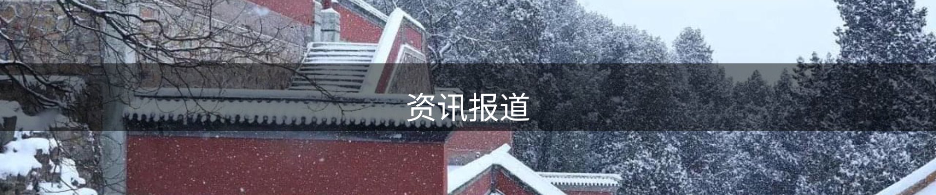 资讯报道